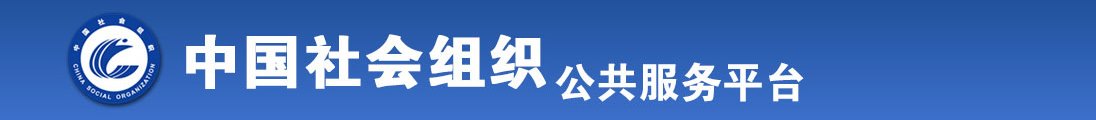 艹比视频网站全国社会组织信息查询